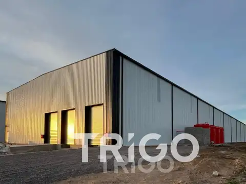 Alquiler y venta deposito industrial en Polo industrial Spegazzini a dos calles con docks, Ezeiza