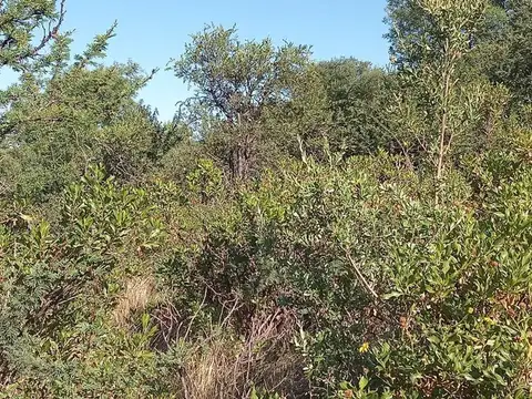 Terreno en Venta de 1700,0 m2