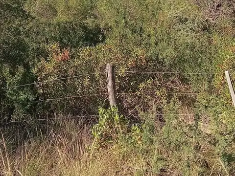 VENTA DE TERRENO DE 1700m CAPILLA DEL MONTE