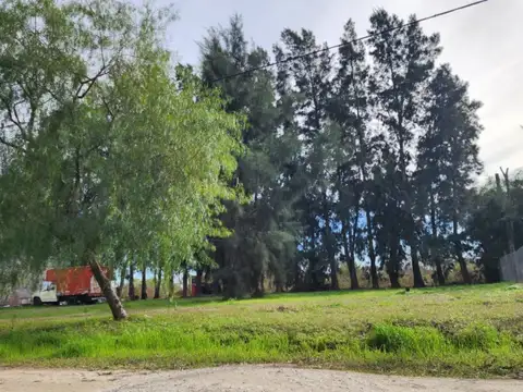 lote 28