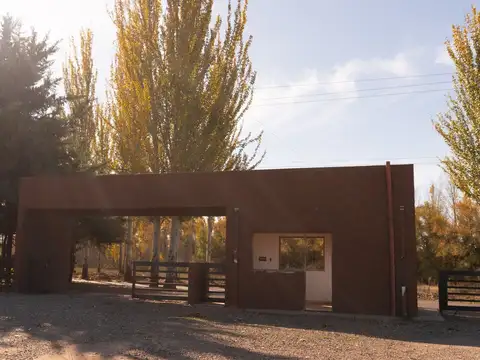 Tabanera