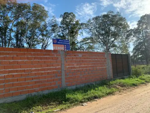 Conesa