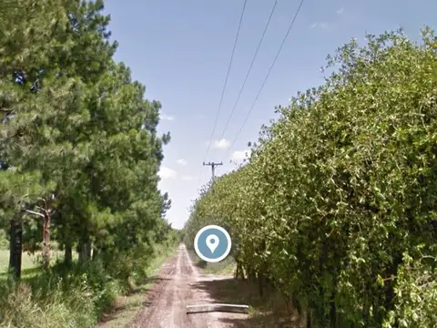 Terreno en Venta en Barrio Belen, USD 320.000