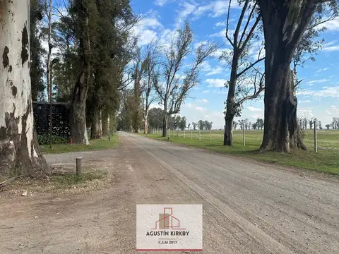 Ruta 6 km 142