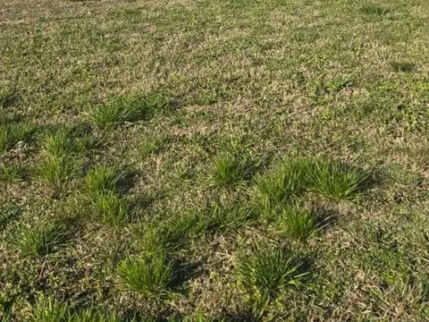Terreno en Venta de 2000,0 m2