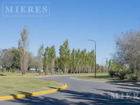 Terreno en Venta 20  mts Fondo