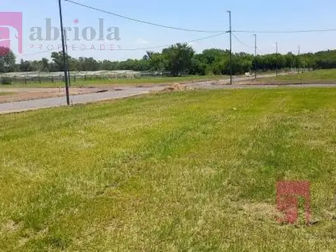 Calle 537 2001 Parque bonito