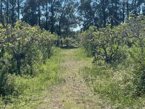 Venta de Lote/Terreno en Baradero