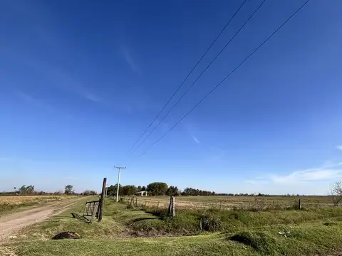 Campo en Venta en Ibarlucea, Rosario