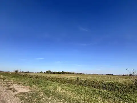 VENTA | PERMUTA - Campo superficie total 160.000 m² - Ibarlucea, Santa Fe.