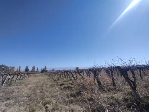 CAMPO EN VENTA LA PEGA LAVALLE