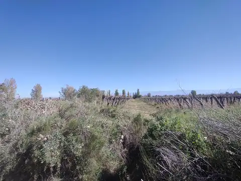 CAMPO EN VENTA LA PEGA LAVALLE