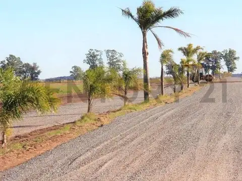 Ruta Provincial 6 100, Lujan, Lujan, Buenos Aires 100, Piso 0