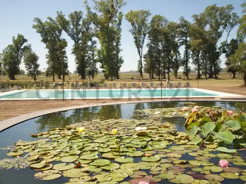 Terreno en Venta en Las Casuarinas, USD 22.000