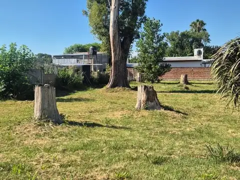 25 de mayo