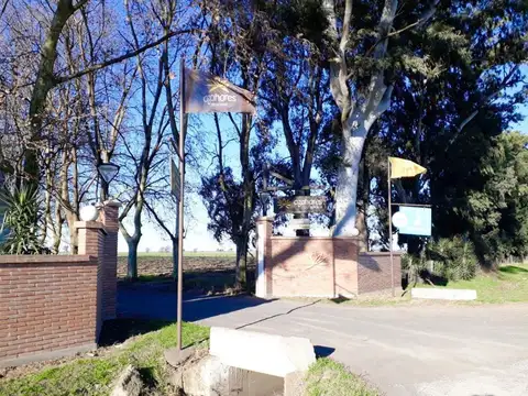 Terreno en Venta 38  mts Fondo