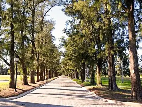 Terreno - Fighiera