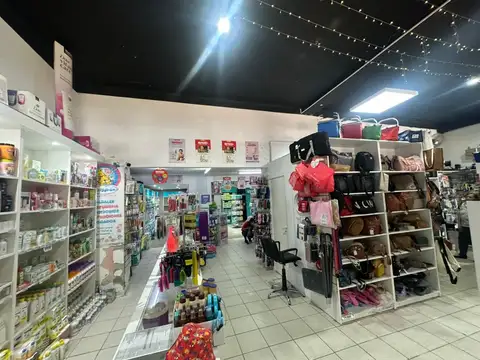 Local, Galpón y Casa en Fisherton