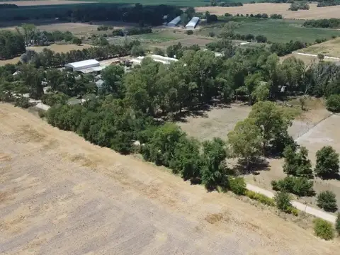 venta campo zarate