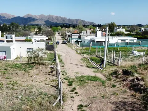 San Luis 100