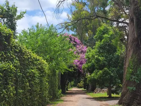 Lote en venta en Gonnet