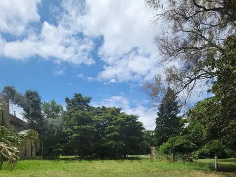 Terreno en Venta 41  mts Fondo