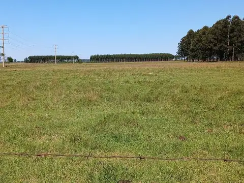 Terreno en Venta en Colonia Porvenir, Goya