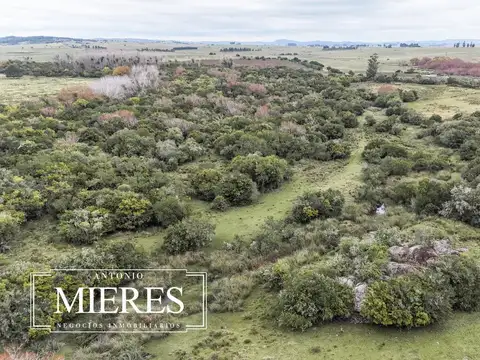 Campo en venta de 14 ha con casa en Aigua, Maldonado Uruguay.