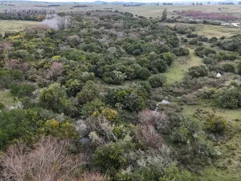 Campo en venta de 14 ha con casa en Aigua, Maldonado Uruguay.