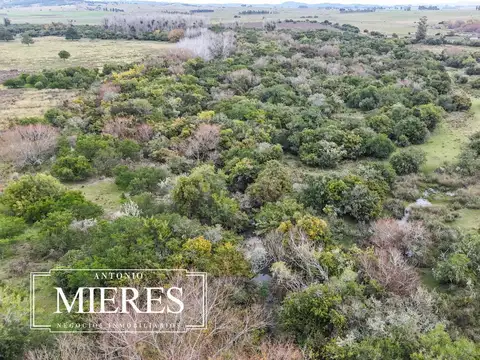 Campo en venta de 14 ha con casa en Aigua, Maldonado Uruguay.