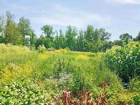 Terreno en Venta de 10800,0 m2
