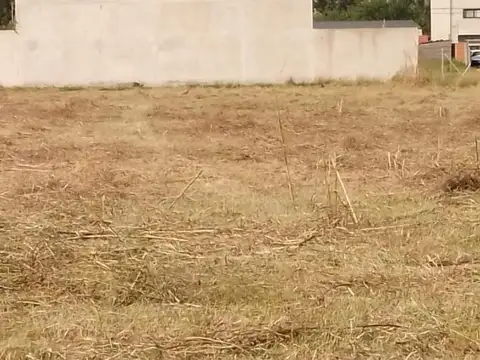 Terreno en venta - 1200mts2 - Lisandro Olmos Etcheverry