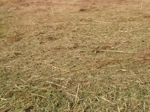 Terreno en Venta de 1200,0 m2
