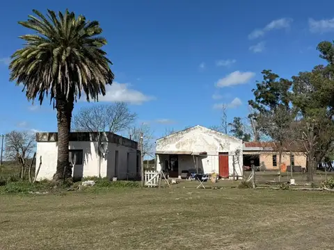 350 hectáreas agrícolas espinillo norte