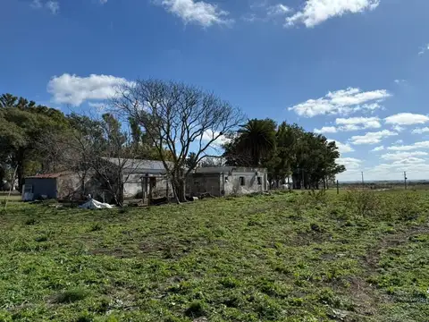 350 hectáreas agrícolas espinillo norte