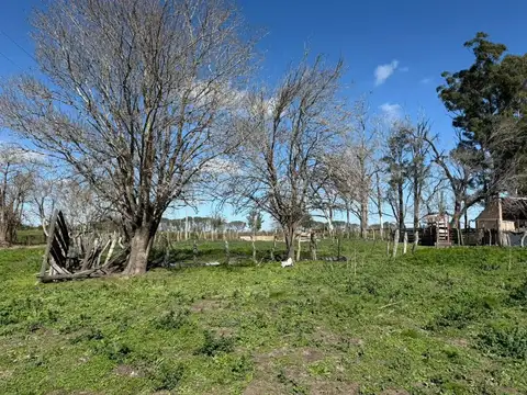 350 hectáreas agrícolas espinillo norte