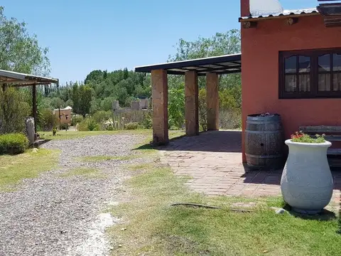 Cubillos 100