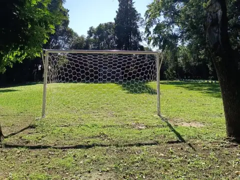 Mateo Blanco 300