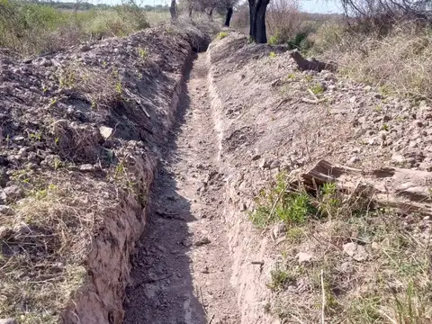 VENDO CAMPO MIXTO LIBRE DE MONTE APTO PARA SIEMBRA DE ALFALFA(COLONIA DORA ,SANTIAGO DEL ESTERO)