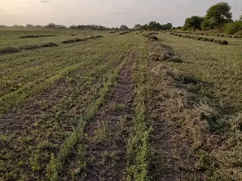 Campo en Venta con Alambrado