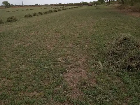 Campo en Venta de 50  ha