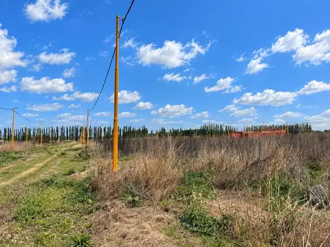 TERRENO EN VENTA EN LOTEO LA RUFINA I EN CERVANTES