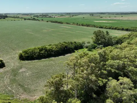 Campo en Venta de 44  ha