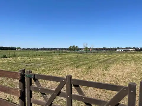 Terreno en Venta de 2752,0 m2