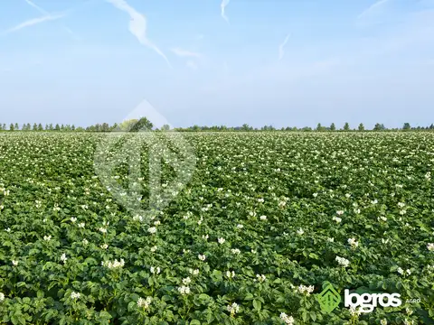 rp 42, Pampa Blanca, Jujuy