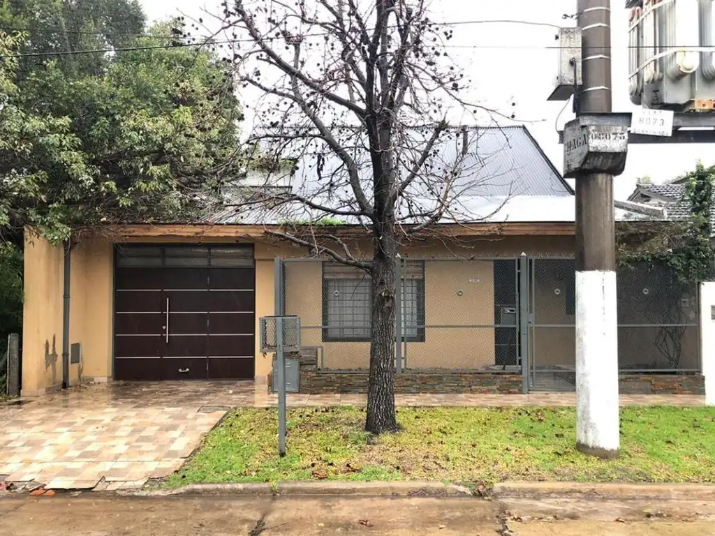 Campichuelo 3432