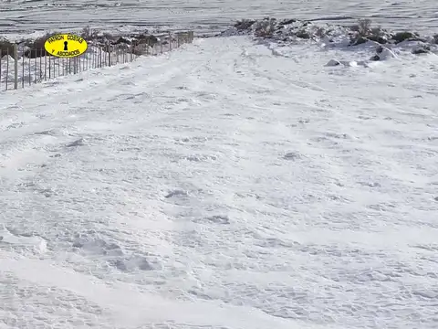 2435ML-FRACCION 53 HA LOS MOLLES - MALARGUE_MENDOZA