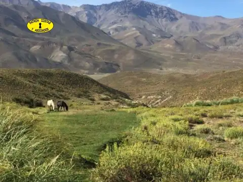 2435ML-FRACCION 53 HA LOS MOLLES - MALARGUE_MENDOZA