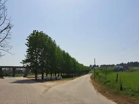 La Reserva 2