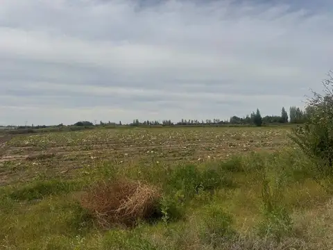 Terreno en Venta de 82200,0 m2